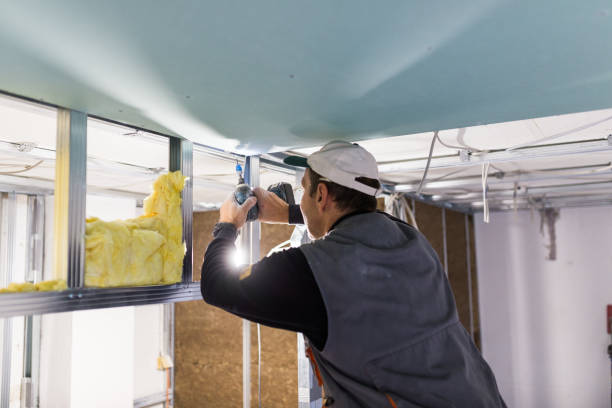 Best Insulation Installation Services in Greenacres, FL